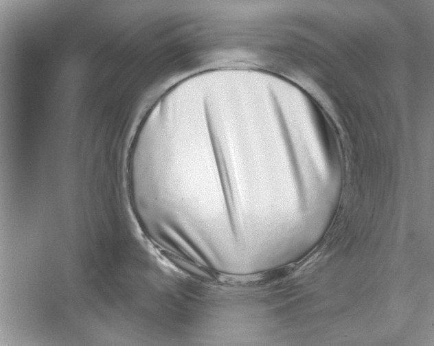 X0000072541488200608111800