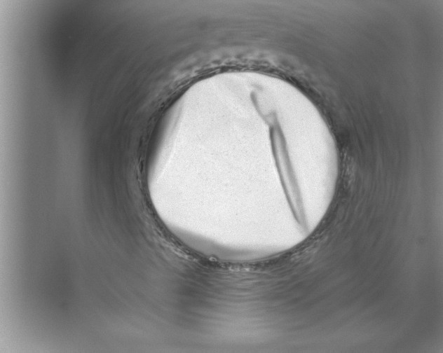 X0000072541489200608111759