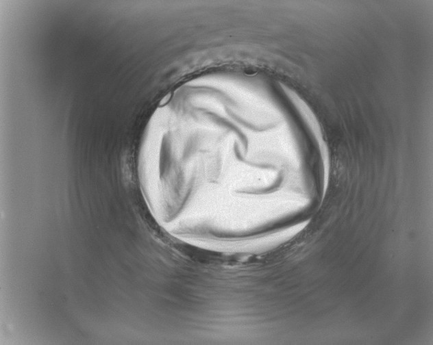 X0000072541490200608111759