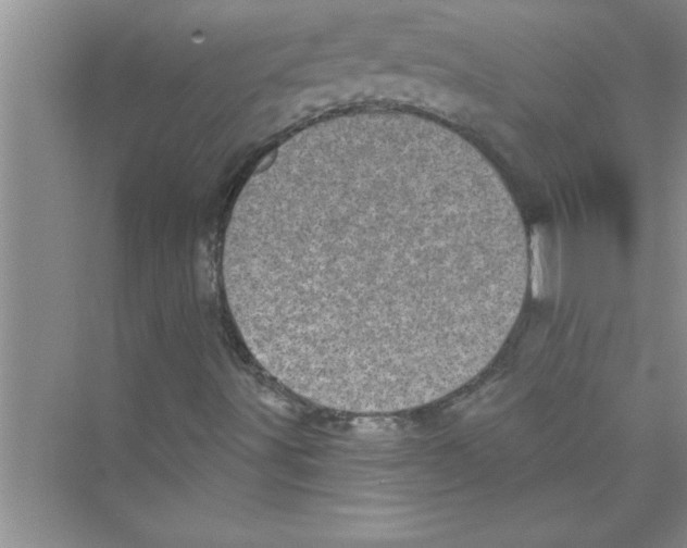 X0000072541491200608111759