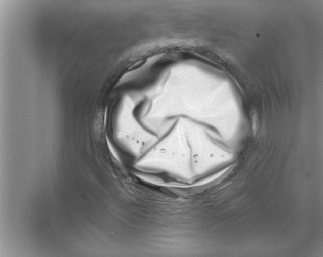 X0000072541492200608111759