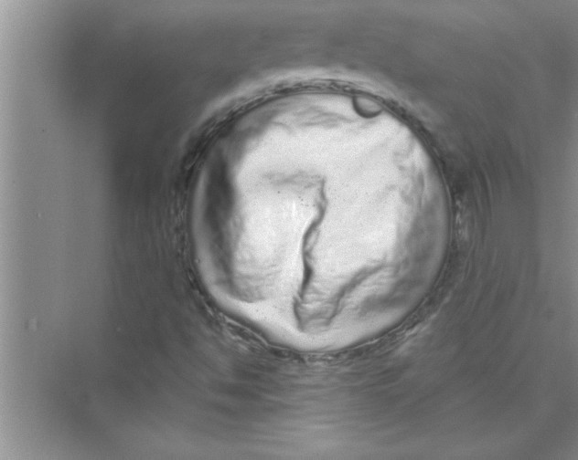 X0000072541494200608111759