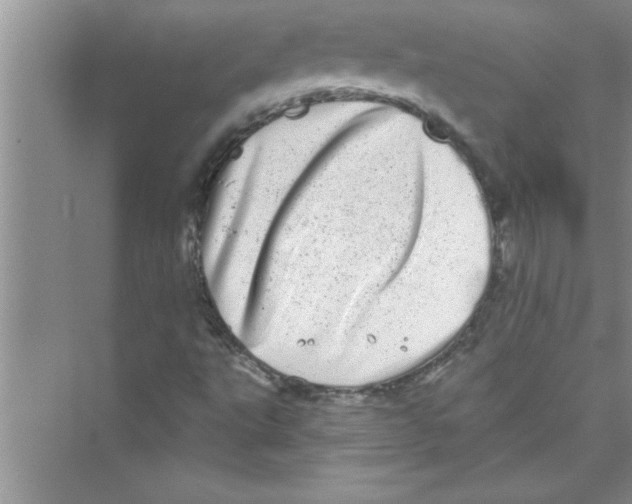 X0000072541495200608111759