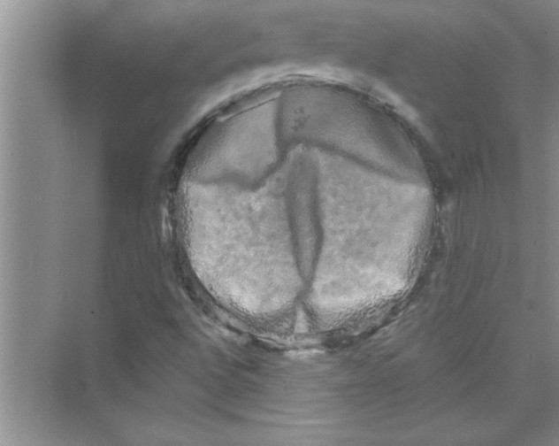 X0000072541496200608111759