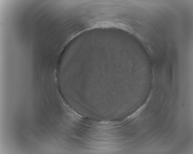 X0000072541497200608111759