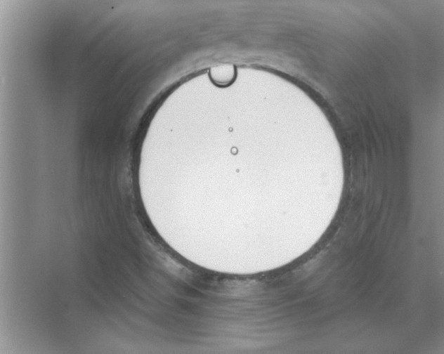 X0000072541498200608111759