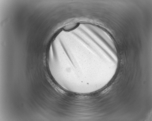 X0000072541499200608111759