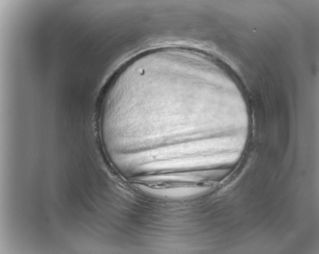 X0000072541501200608111759