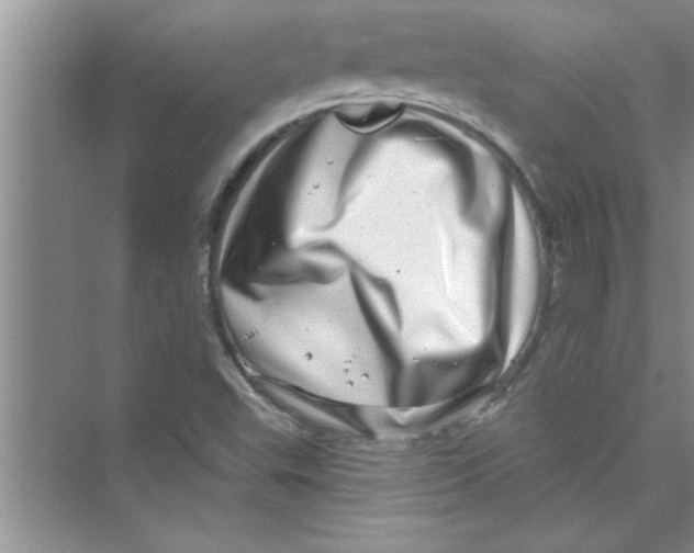 X0000072541503200608111759