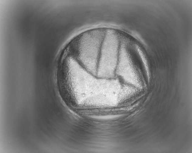 X0000072541504200608111759