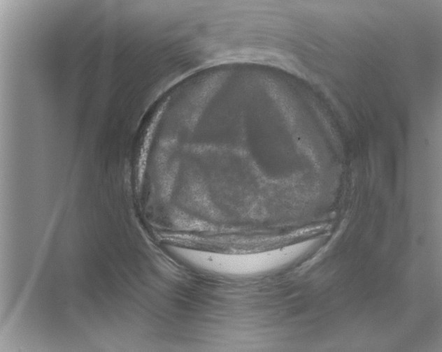 X0000072541505200608111759