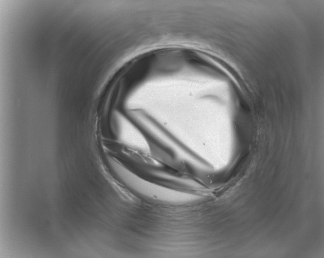 X0000072541507200608111759