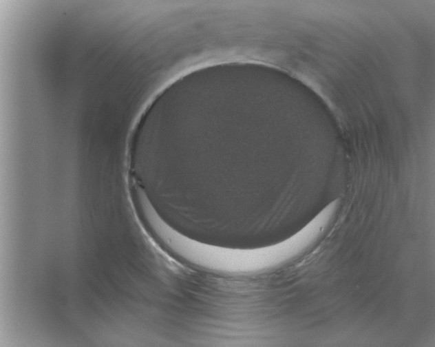 X0000072541508200608111759