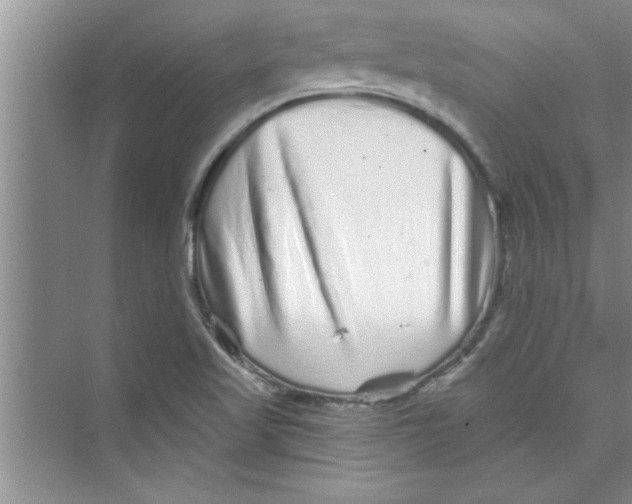 X0000072541509200608111759