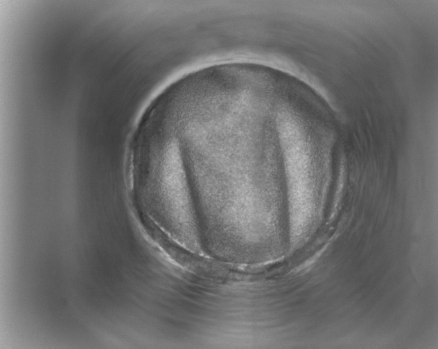 X0000072541510200608111759