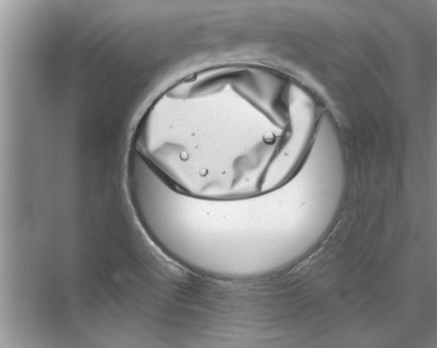 X0000072541512200608111759