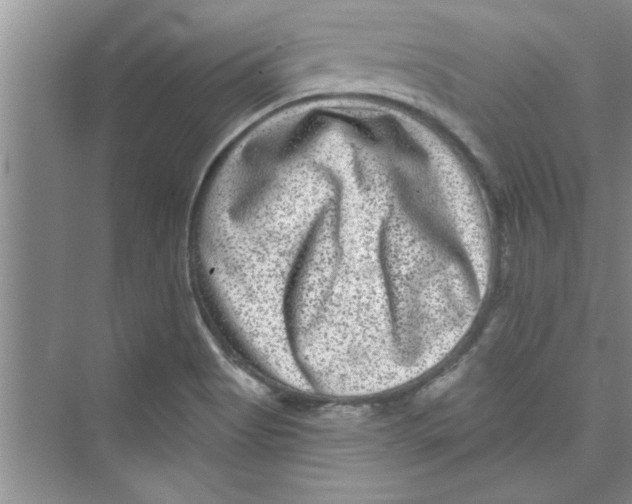 X0000072541513200608111759