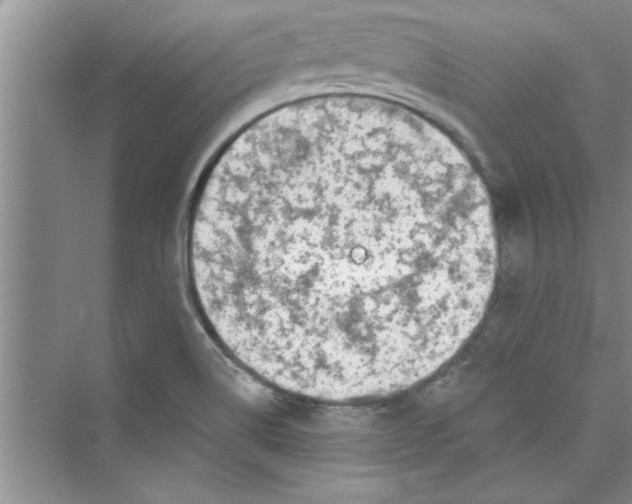 X0000072541514200608111759