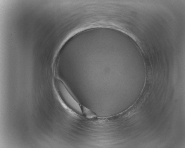 X0000072541515200608111759