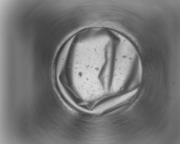 X0000072541517200608111759