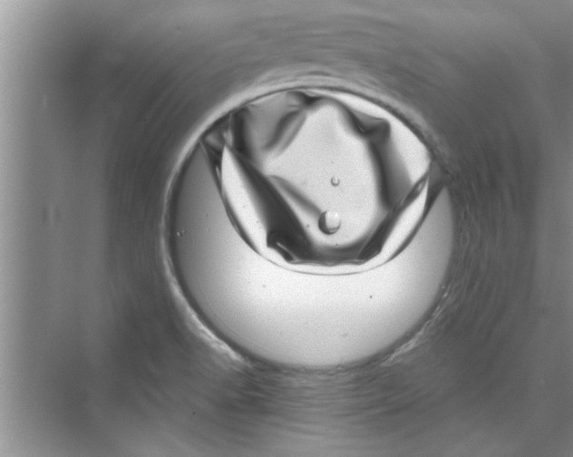 X0000072541518200608111759