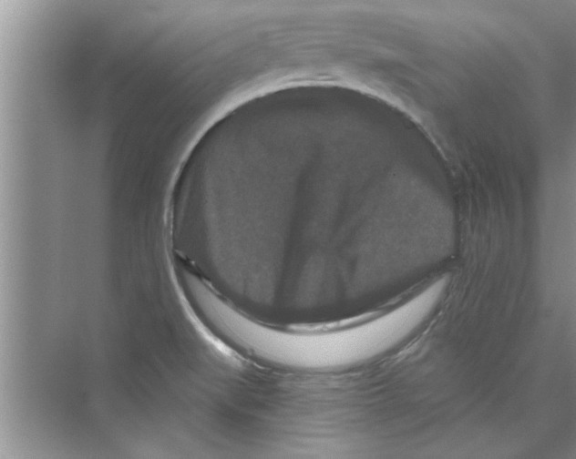 X0000072541519200608111759