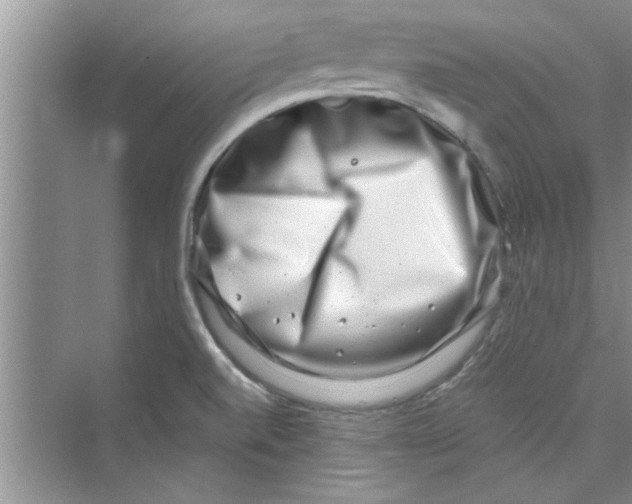 X0000072541520200608111759