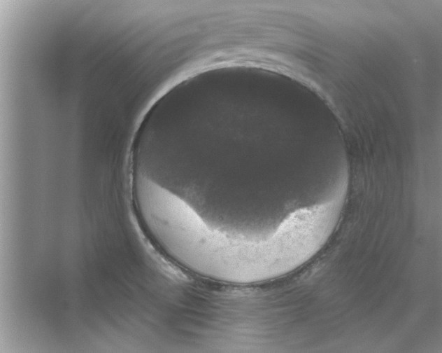 X0000072541522200608111759