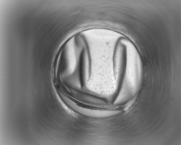 X0000072541523200608111759