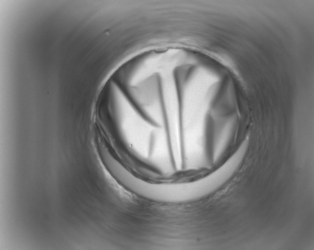 X0000072541524200608111759