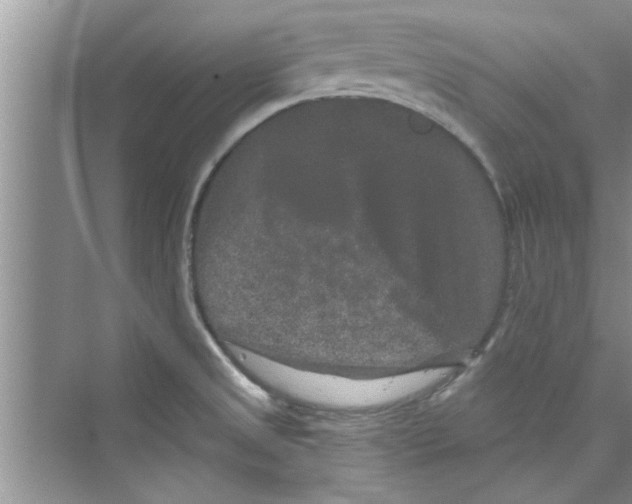 X0000072541525200608111759