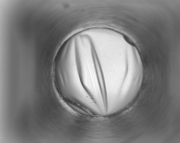 X0000072541526200608111759