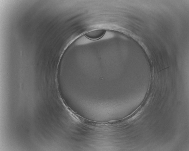 X0000072541529200608111800