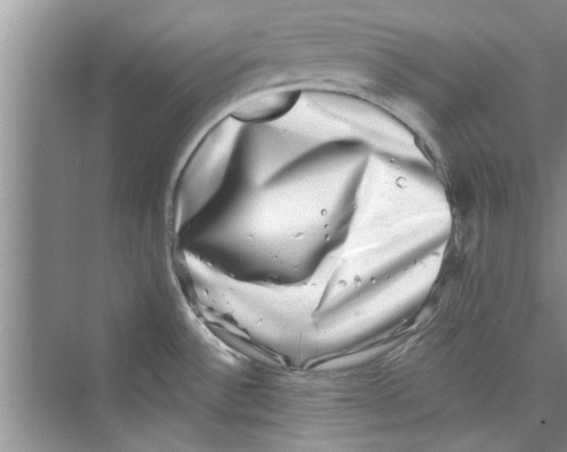 X0000072541532200608111800