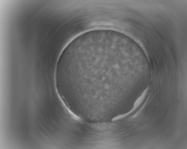 X0000072541533200608111800