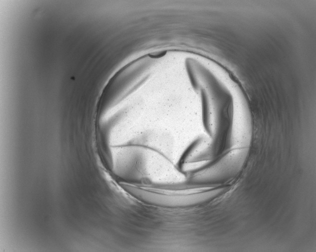 X0000072541534200608111800