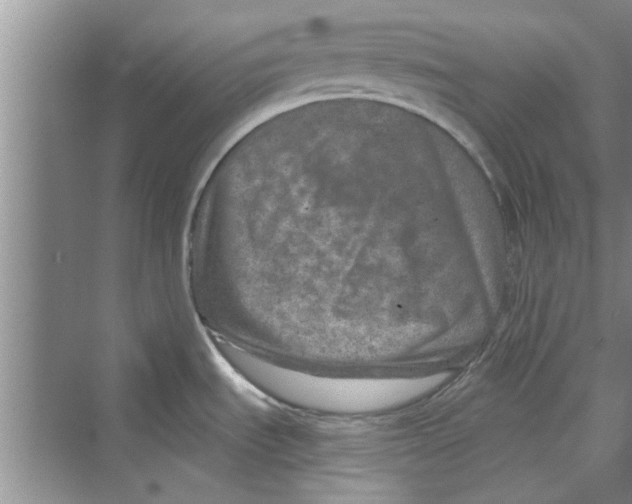 X0000072541535200608111800