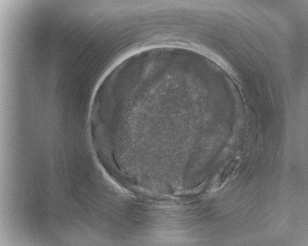 X0000072541536200608111800