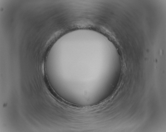 X0000072550019200607141023