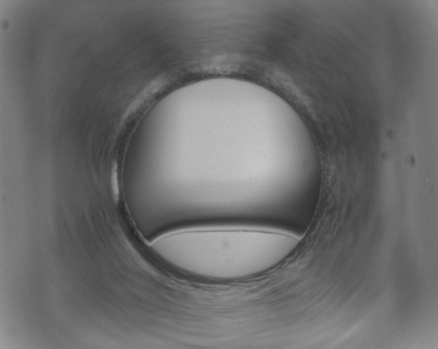 X0000072550020200607141023