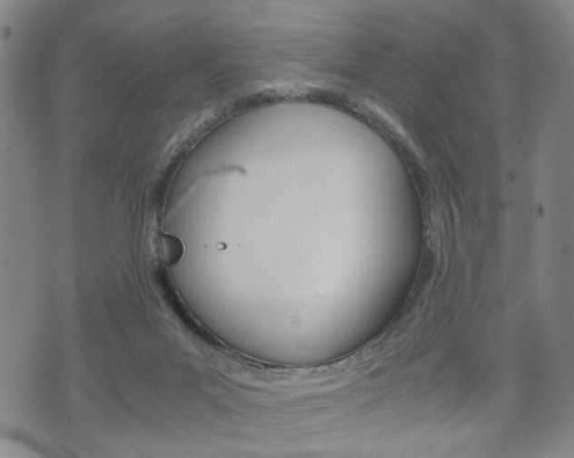 X0000072550023200607141023