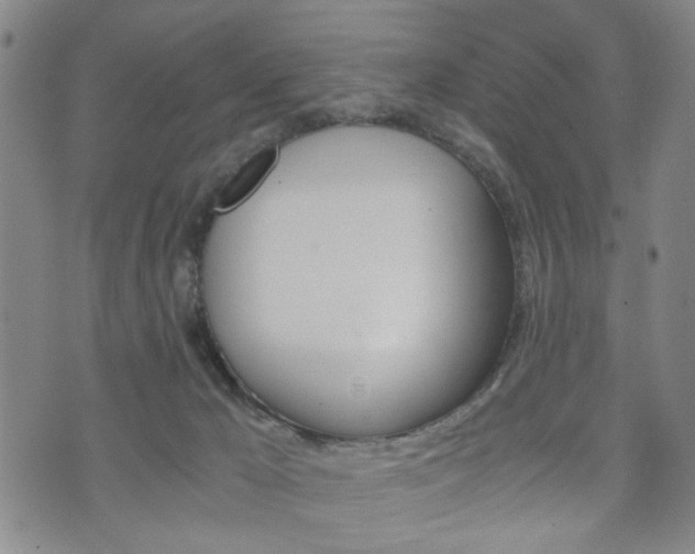 X0000072550029200607141023