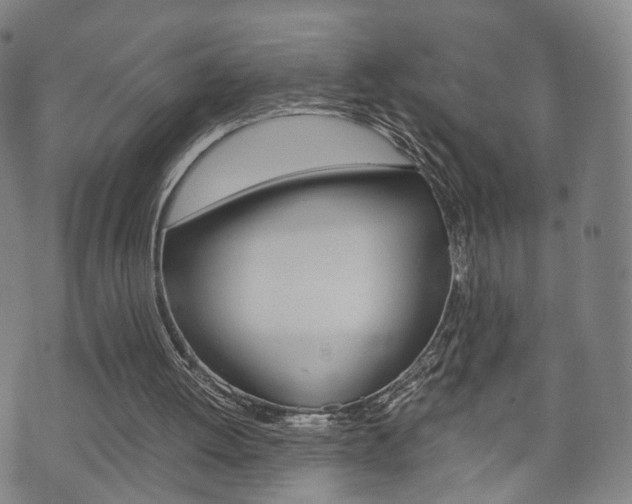 X0000072550052200607141022