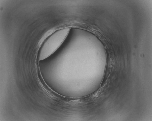 X0000072550054200607141022