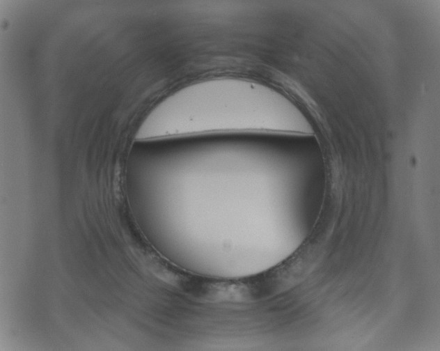 X0000072550073200607141022