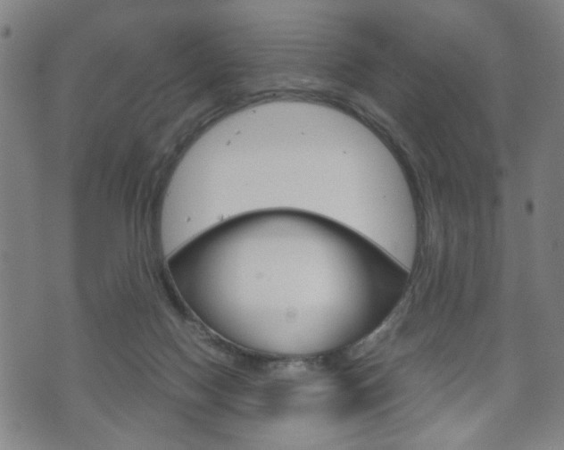 X0000072550074200607141022