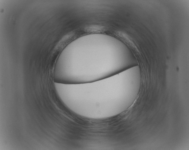 X0000072550167200607141020