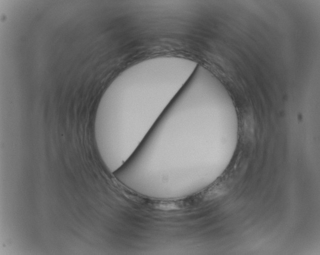 X0000072550177200607141021