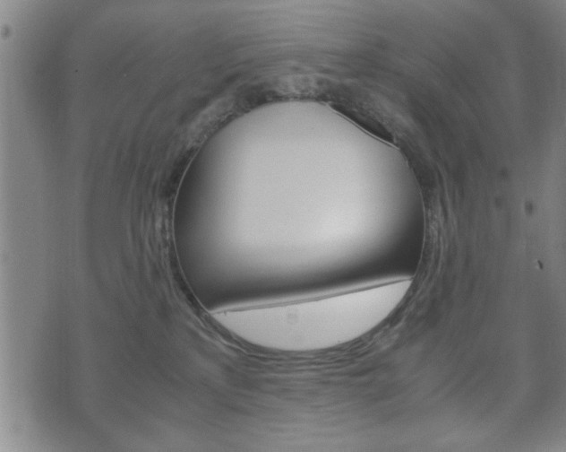 X0000072550233200607141019