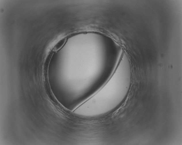 X0000072550248200607141019